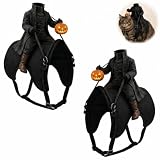 Kopfloser Reiter Katze Kostüm 3D Halloween