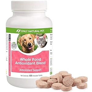 Only Natural Pet Whole Food Antioxidant Green Tea & Berry Antioxidant Vitamin Supplement Blend for Dogs & Cats to Support A Healthy Immune System, Fight Free Radical Damage – 60 Soft Chews