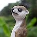 SHAODIE 19.2 Inch Height,Outdoor Meerkat Sculpture Garden Decoration Standing Outdoor Sculpture, Weather-Resistant Resin, Brown