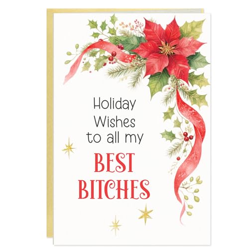 DISJOURNEY Cartes de Noël pour femme – Carte de Noël amusante – Cartes de Noël humoristiques avec enveloppe pour meilleures femmes, filles, amies, sœurs, 14 x 20 cm