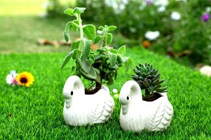 Lyallpur Stores Ceramic Pots for Plants Swan Shape - Small Size (White Color, 8 cm) Ceramic Planters for Indoor Plants, Living Room. [Plant Not Included, Pack of 2] (B093WWF527) Amazon Price History, Amazon Price Tracker