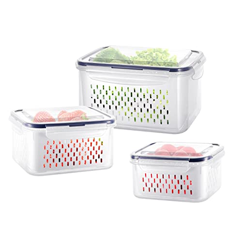 Top 10 Best Container For Strawberries Reviews & Buying Guide Maine