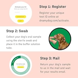Dna My Dog β Canine Allergy Test | Analysis of 120+ Allergens | Not a Fur Test, Cheek Swab | Food, Environmental and Household Items | Results in 3 Weeks | Includes Allergy Report & Recommendations Dna My Dog–Canine Allergy Test Analysis of 120 Allergens Not a Fur Test Cheek Swab Food Environmental and Household Items Results in 3 Weeks Includes Allergy Report Recommendations