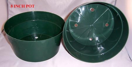 Green Plastic Flower Pot - 8w X 4h 8 Pack