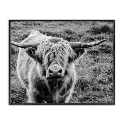Wild Country Cattle Portrait Photography, 24 x 30 Inch Framed Giclée Print