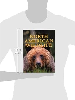North American Wildlife