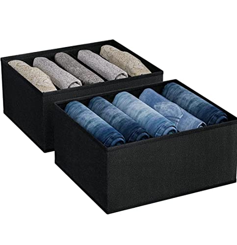 DARK LION Nylon Cloth Drawer Organizer For Jeans, Wardrobe Clothes Organizer For Folded Clothes, Clothes Storage Organizer For Jeans, Sweater, Dresses, T-Shirts (Pack Of 2, Black), Clothing (B0C53PG5RG) Amazon Price History, Amazon Price Tracker