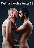 Mein schwules Auge 12: Das schwule Jahrbuch der Erotik