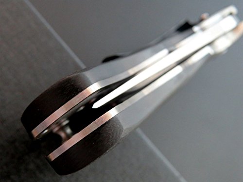 Eafengrow Tactical Pocket Knives Blade Knife G10 Steel Handle Ball Bearing Outdoor Camping Knife (EF5)