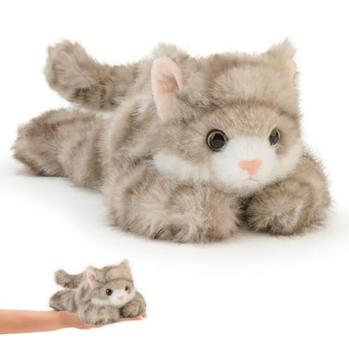 VgxRolq Tanuki - Gato de peluche (tamaño pequeño, para decoración de escritorio, tacto suave, ligero para adultos y coleccionistas) VgxRolq Tanuki - Gato de peluche (tamaño pequeño, para decoración de escritorio, tacto suave, ligero para adultos y coleccionistas)