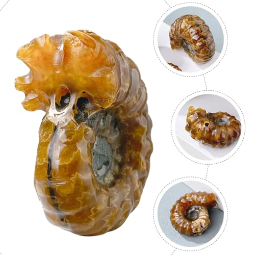 Adorno de piedra de cristal coleccionable con forma de concha 8