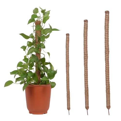 Opilroyn Lot de 10 Tuteurs Flexibles en Mousse de Coco pour grimpantes - 4 Tailles - Train Monstera Philodendron Pothos - pour, Pots de, Jardinage, Plantation