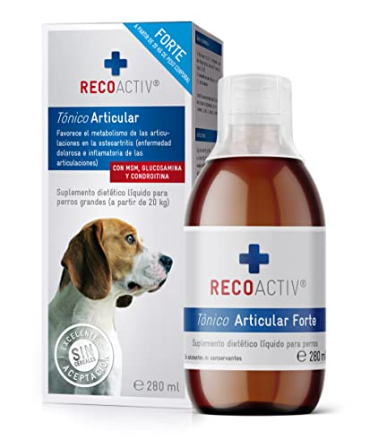 RECOACTIV Tónico Articulaciones Forte para Perros, 1 x 280 ml, suplemento alimenticio para Enfermedades articulares degenerativas, con mejillón de Labios Verdes y glucosamina Cover