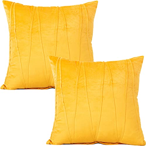 Tennove Samt Kissenbezüge, 45 x 45 cm Quadratische Kissenhülle 2er Pack Weiche, Feste dekorative Dekokissenbezüge Hüllenschoner mit verstecktem Reißverschluss für Sofa Schlafzimmer Cover