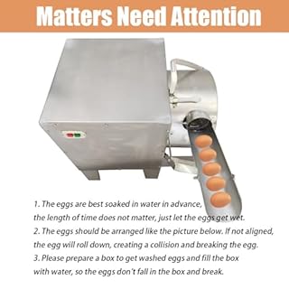 BEILOCKERY Commercial Egg Washing Machine, Automatic Poultry Egg Cleaner for Chicken/Duck/Goose Eggs, Electric Farm Eggs Surface Cleaning Machine 2000 Pcs/H 110V