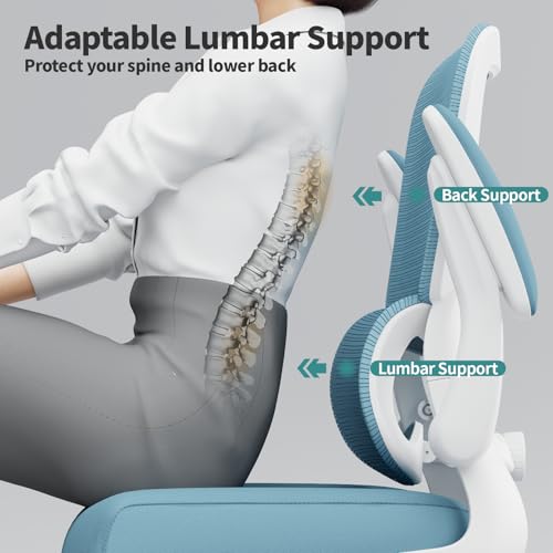 Image of TRALT Office Chair - Ergonomic Desk Chair with Adjustable Lumbar Support, Mesh Computer Chair, Executive Chair for Home Office Comfortable Lumbar Support (1, Sky Blue)