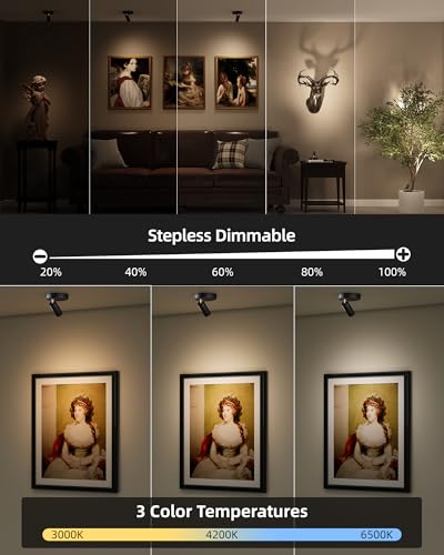 image for EZVALO Spotlights Indoor with Remote, 5500mAh Rechargeable Picture Lig