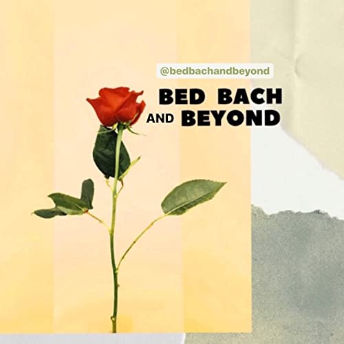 2. Lord of The Flies but make it Shanae... catch-up to Ep. 5