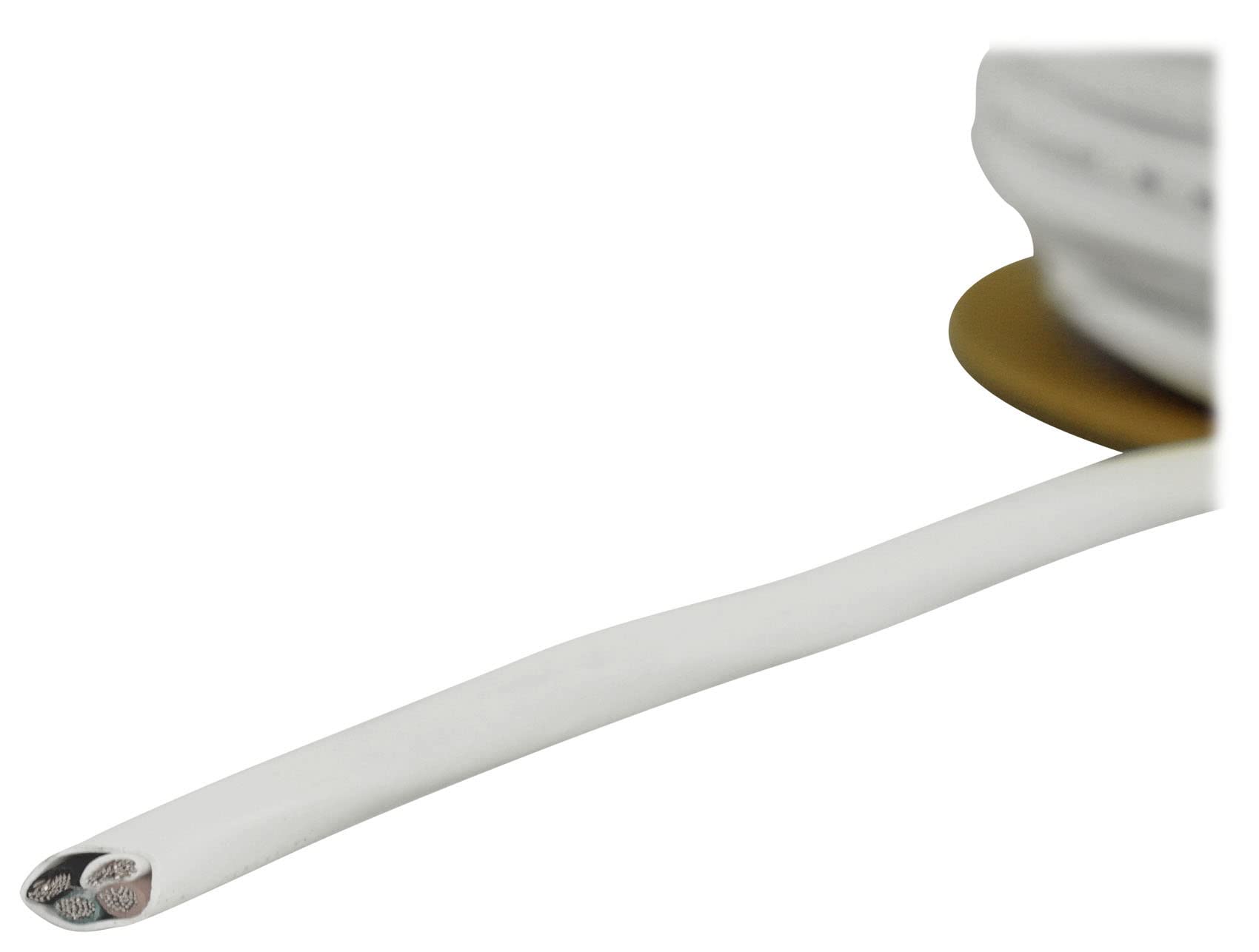 Rockville RCC14-100-4 14 AWG 30,5 m 4 conduttori cavo altoparlante CL2 in-wall, CCA, senza ossigeno, bassa resistenza, per Home Theater e sistemi audio