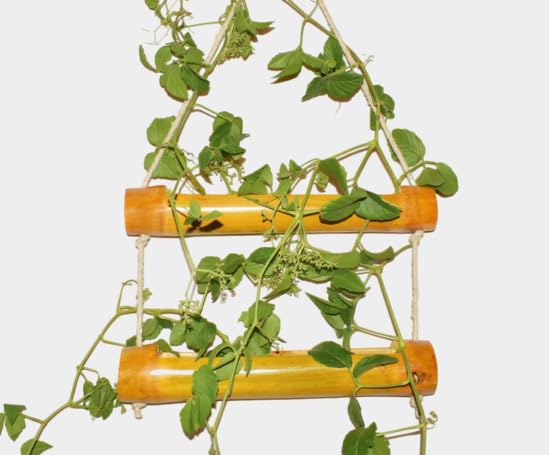 WATIKA CRAFT Wall Hanging pots for Plants, Natural Bamboo Planter. Hanging pots for Plants Indoor, Hanging pots for Plants Balcony. (2 Step Step Planter) (B0C4KT2MBJ) Amazon Price History, Amazon Price Tracker