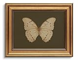 Gold Framed Wall Art Vintage Butterfly Canvas Wall Art White Butterfly Moody Insect Artwork Prints Picture for Living Room Bedroom Farmhouse Bathroom Office Decor, 8x10