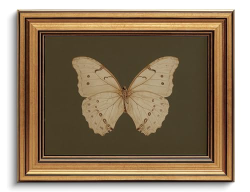 Gold Framed Wall Art Vintage Butterfly Canvas Wall Art White Butterfly Moody Insect Artwork Prints Picture for Living Room Bedroom Farmhouse Bathroom Office Decor, 8x10