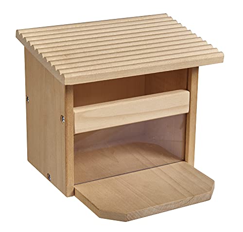 Eichhorn - Outdoor Futterhaus - Eichhörnchen Futterhaus zum Zusammenbauen und Bemalen, inkl. Pinsel und Farbe, aus Lindenholz, für Kinder ab 6 Jahren geeignet 100004586 – Bild 5