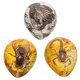 Anneome 昆虫琥珀標本3点セット 蝶 サソリ 蜂のリアル標本入り装飾品 DIYクラフト用軽量ペンダント 昆虫愛好家向けコレクション