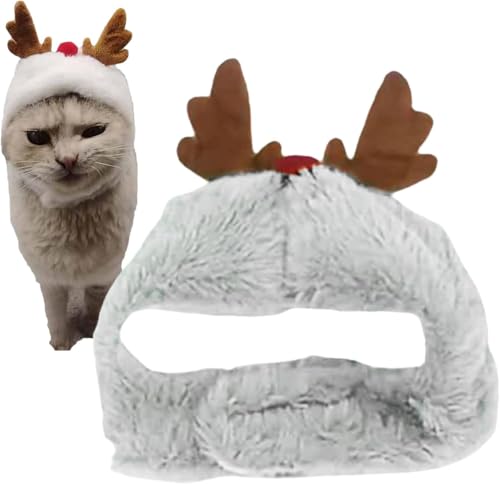 ScifimpELpybgpNX}XRX`[ZbgFXqA}t[AGvARXvߑALOBeNX}XCxgɂ҂łB