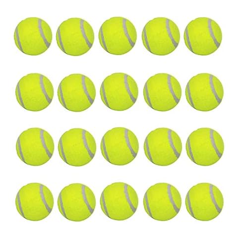LUCKYERMORE Dog Tennis Balls 20 Pack Pet Tennis Ball for Small Dogs Premium Fetch Toy Non-Toxic Non-Abrasive Material 2 Inch Mini Tennis Ball for Puppy Small Dog Cover