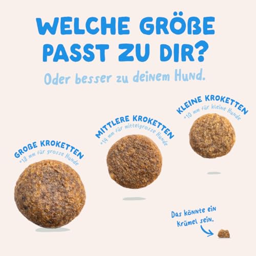 Edgard & Cooper Hundefutter trocken für Medium Adult Hunde (7kg), frischer Lachs, ausgewogene Ballaststoffe für die Darmgesundheit, Natürliche, hypoallergene Rezeptur, nie Fischmehl