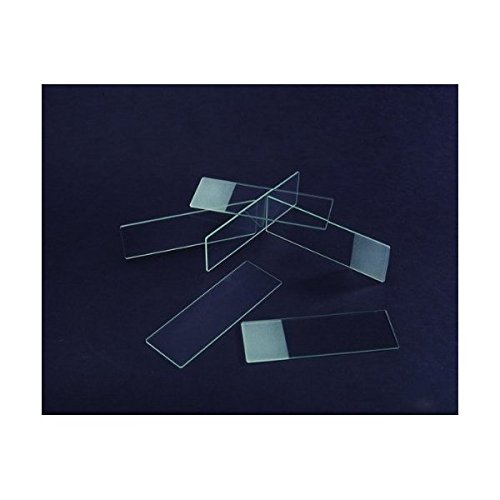 Buy Beveled double frosted slides, one end both sides [ 1 Gross] Online