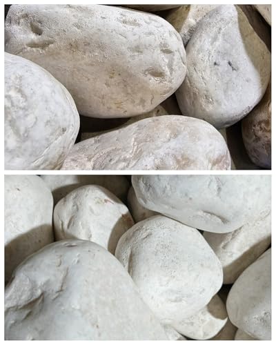 Encuentra la mejor selección de Piedras grandes para paisajismo exterior - los más vendidos. 26 Imagen adicional