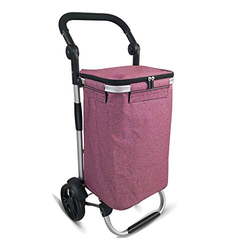 gbgymjm Einkaufstrolley 40L Multifunktionaler Einkaufswagen Trolley auf Rädern Push Tote Cart Carts Trolley Bag Korb…