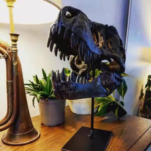 Dinosaur Skull, T-Rex Skull Statue, 110 Scale Model Of Tyrannosaurus Rex Skull Resin Sculpture Lifelike Dinosaur Shape Statue Desktop Ornament Skull Size 33X20X24Cm Without Bracket… (Large12*6*10In) #TOP5