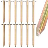 LDHHYH 12 piquetas fuertes para tienda de campaña, piquetas largas y robustas con perfil en T, longitud de 30 cm, anclajes para suelo, piquetas doradas para camping y exteriores