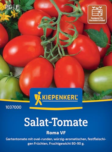 Kiepenkerl Salat-Tomatensamen Roma VF 1037000 - mittelhoch - pflaumen bis eiförmig - würzig & aromatisch - Saatgut, Samen Gemüse, Gemüsepflanzen