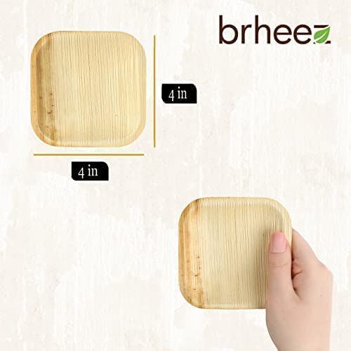 Brheez Bamboo Plates Made From Palm Leaf - 25 Party Plates - 4 Inch - Eco Friendly Compostable & Biodegradable – Bamboo Disposable Plates Heavy Duty Are More Environmentally Friendly Than Paper Plates #TOP1