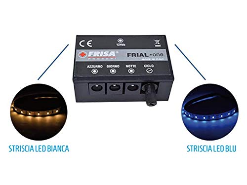 Centralina Luci E Musica Frial Per Presepi Piccoli - Con Stelle A Fibra Ottica E LED Fuoco