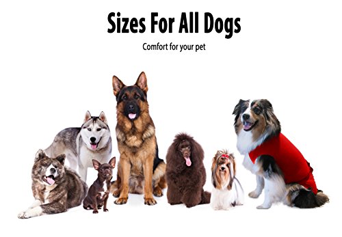 Surgi~Snuggly Disposable Dog Diapers Keeper - For Male And Female Dogs - Wrap Around Legs For Superior Fit - Fits (M - Red) #TOP5