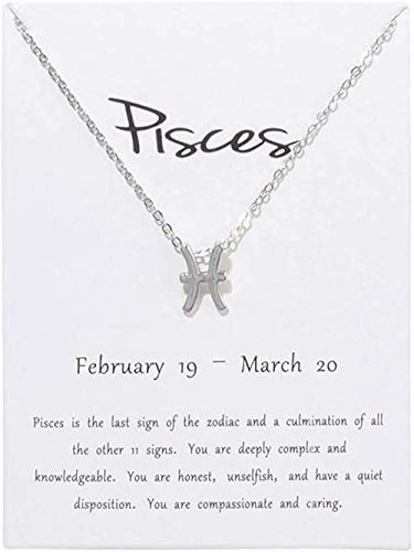 Preisvergleich Produktbild CKAWM Halskette 12 Sternbild Halskette Anhänger Widder Fische Wassermann Stier Leo Geburtstagsgeschenke Halsketten