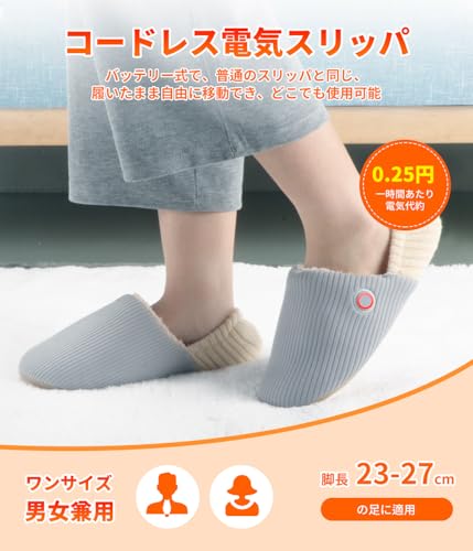 AGGOZ 電気スリッパ 足温器