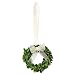 Napa Home & Garden 6-inch Preserved Boxwood Wreath with Ribbon
