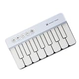 Elektronisches Klavierspielzeug, Früherziehung, Tasteninstrument, kleines Spielzeug, Entwicklung künstlerischer Ausdruck, ABS Textur, kleine Tasche für Kinder