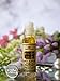 Golden Sand - 6ml (.2 oz) Perfume Oil by Al-Rehab (Crown Perfumes)