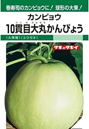 Amazon タキイ種苗 10貫目大丸かんぴょう 野菜