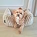 4L Textil Bella Plüsch-Hundebett Premium-LINE Kuscheliges Hundekörbchen aus Cord Katzenkorb Hundekorb für Welpen Hundebett flauschig Hundesofa kleine Hunde (Rosa, 60x40 cm)