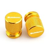 Amplia gama de usos: la tapa de la válvula del neumático puede adaptarse a los vástagos de válvula de motocicletas, bicicletas, etc., para proteger su automóvil de la suciedad y el polvo.