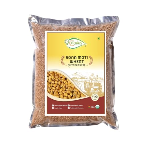 Image of Organic Sonamoti Wheat Grains Seeds (15Kgs) | For Farming, Sowing & Agriculture Use | Produce of India | 100% Natural & Non-GMO | By G7 Grains