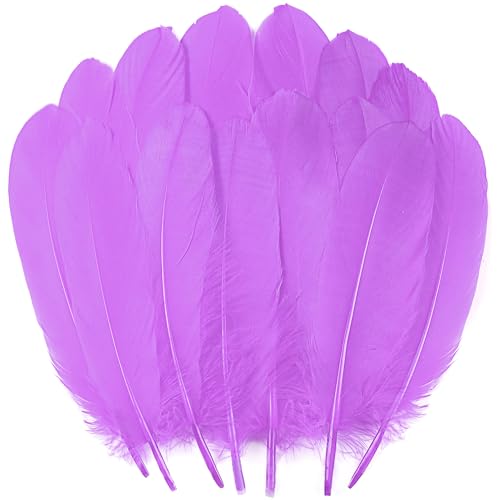 Ballinger Light Purple Large Goose Feather Bulk for Crafts,120Pcs,6-8inch